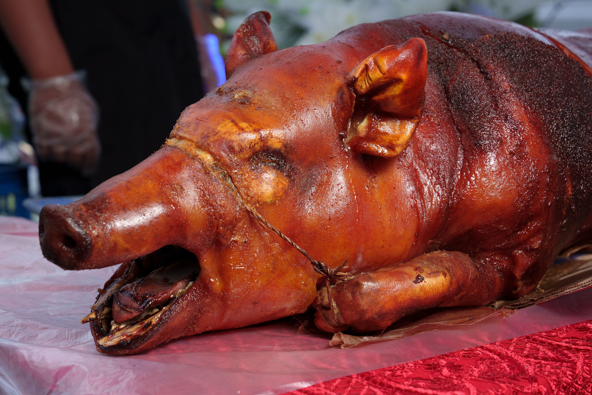 lechon on table